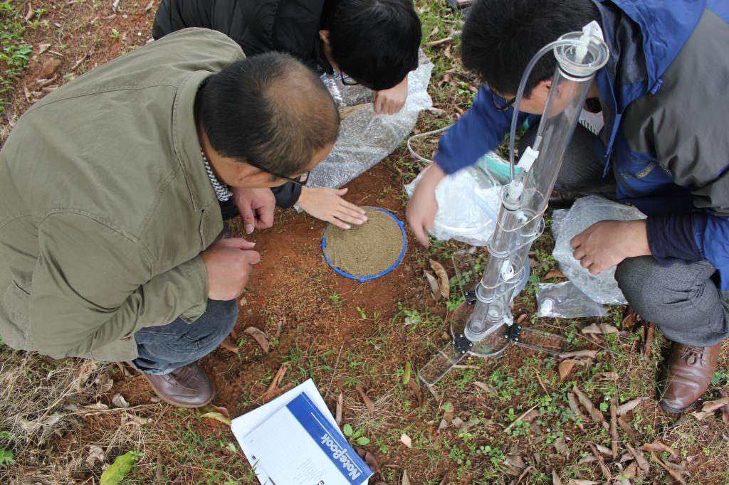 林地土壤入渗速率测定